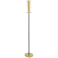Eglo Vloerlamp Pinto Gold
