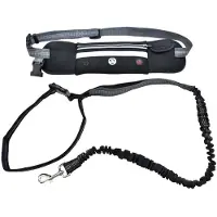 Six Peaks Led Dog Lead Running Belt Zilver