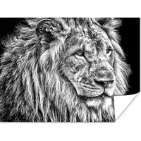 PosterMonkey Poster Portret - Leeuw - Zwart wit - 40x30 cm