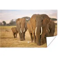 PosterMonkey Poster Olifanten familie - 120x80 cm