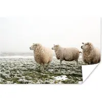 PosterMonkey Drie schapen in een winterlandschap Poster 90x60 cm - Foto print op Poster (wanddecoratie woonkamer / slaapkamer) / Boerderijdieren Poster