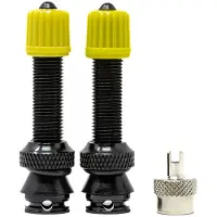 X-sauce Tubeless Schrader Valves Compatible Mousse 2 Units Goud