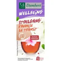 Damhert 6x Wellbeing Thee Stoelgang 20 Stuks