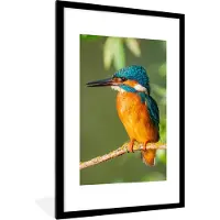 PosterMonkey Poster - Fotolijst - Vogel - IJsvogel - Tak - Bladeren - 60x90 cm - Poster vogels - Poster in lijst - Wanddecoratie natuur - Poster dieren - Foto met lijst - Posters - Frame - Posterlijst