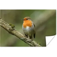 PosterMonkey Poster Vogel - Roodborstje - Tak - Planten - 90x60 cm