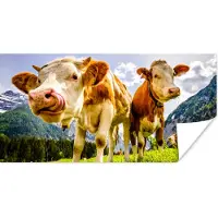 PosterMonkey Poster Koeien - Bergen - Gras - Landschap - Alpen - 40x20 cm