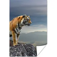 PosterMonkey Poster Tijger - Berg - Natuur - Landschap - 40x60 cm