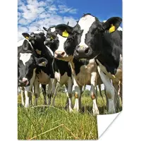 PosterMonkey Poster Koeien - Gras - Weiland - Dieren - 120x160 cm XXL