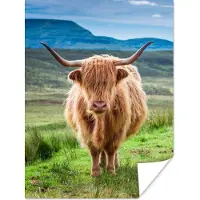 PosterMonkey Poster Schotse hooglander - Koe - Natuur - Berg - Gras - 60x80 cm