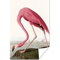 PosterMonkey Poster - Flamingo - Vintage - Vogel - Kunst - Fotolijst - Kader - 120x180 cm - Woondecoratie - Posterlijst - Poster flamingo - Poster dieren