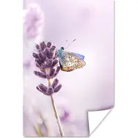 PosterMonkey Poster Lavendel - Vlinder - Close-up - Paars - 20x30 cm