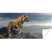 PosterMonkey Poster Tijger - Berg - Natuur - Landschap - 80x40 cm