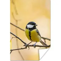 PosterMonkey Poster Koolmees - Tak - Vogel - Dieren - 60x90 cm