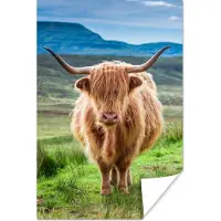 PosterMonkey Poster Schotse hooglander - Koe - Natuur - Berg - Gras - 60x90 cm