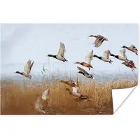 PosterMonkey Poster Eend - Vogel - Riet - Water - Eenden - 120x80 cm