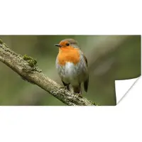 PosterMonkey Poster Vogel - Roodborstje - Tak - Planten - 160x80 cm