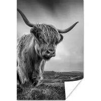PosterMonkey Poster Koeien - Schotse hooglander - Natuur - Dieren - Zwart wit - 60x90 cm