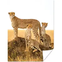 PosterMonkey Poster Cheetah - Gras - Natuur - Savanne - 60x80 cm