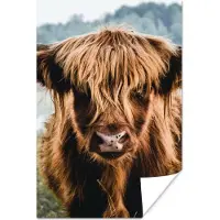PosterMonkey Poster Koeien - Schotse hooglander - Bruin - Natuur - 60x90 cm