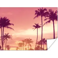 PosterMonkey Poster Lucht - Palmboom - Avond - Natuur - Tropisch - 80x60 cm