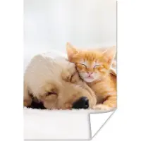 PosterMonkey Poster Dieren - Hond - Kitten - Rood - 80x120 cm