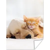 PosterMonkey Poster Dieren - Hond - Kitten - Rood - 60x80 cm