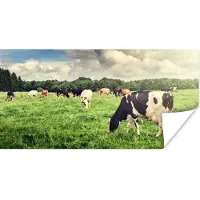 PosterMonkey Poster Koeien - Weiland - Natuur - Dieren - Landschap - 160x80 cm