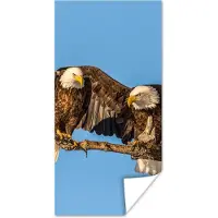 PosterMonkey Poster Vogel - Takken - Arend - Roofvogels - Lucht - 75x150 cm