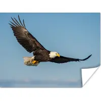PosterMonkey Poster Vogel - Arend - Roofvogels - 80x60 cm