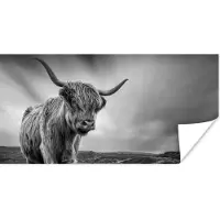 PosterMonkey Poster Koeien - Schotse hooglander - Natuur - Dieren - Zwart wit - 150x75 cm
