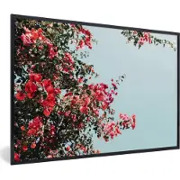PosterMonkey Fotolijst incl. Poster - Bloemen - Lucht - Roze - 90x60 cm - Posterlijst