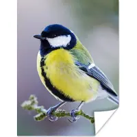 PosterMonkey Poster Koolmees - Vogel - Tak - 120x160 cm XXL