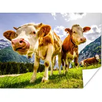PosterMonkey Poster Koeien - Bergen - Gras - Landschap - Alpen - 160x120 cm XXL
