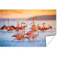 PosterMonkey Poster - Fotolijst - Flamingo - Zonsondergang - Vogel - Tropisch - Kader - 90x60 cm - Poster frame - Poster flamingo - Poster dieren - Foto in lijst - Kamer decoratie