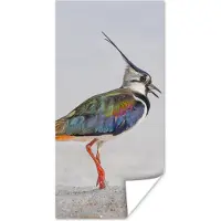 PosterMonkey Poster Vogel - Dieren - Zand - Kievit - 40x80 cm