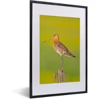 PosterMonkey - Poster - Fotolijst - Vogel - Dieren - Paal - Groen - 40x60 cm - Poster vogels - Poster met kader - Foto in lijst - Poster dieren - Posterlijst - Kader