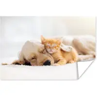 PosterMonkey Poster Dieren - Hond - Kitten - Rood - 120x80 cm