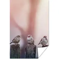 PosterMonkey Poster Vogels - Mussen - Paaltjes - Hout - 60x90 cm
