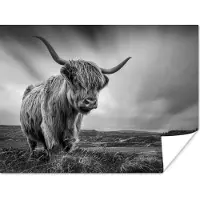 PosterMonkey Poster Koeien - Schotse hooglander - Natuur - Dieren - Zwart wit - 80x60 cm
