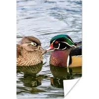 PosterMonkey Poster Eend - Vogels - Water - Veren - Dieren - 40x60 cm