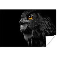 PosterMonkey Poster Uil - Vogel - Zwart - Portret - 120x80 cm