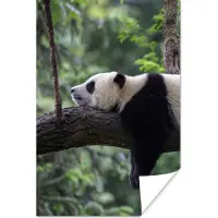 PosterMonkey Poster Panda - Boom - Dieren - Natuur - 60x90 cm