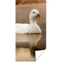 PosterMonkey Poster Eend - Vogel - Water - Wit - 60x120 cm