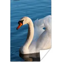 PosterMonkey Poster Zwaan - Water - Vogel - Wit - 60x90 cm