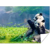 PosterMonkey Poster Panda - Bamboe - Gras - Dieren - 120x90 cm