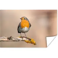 PosterMonkey Poster Roodborstje - Vogel - Tak - Dieren - 180x120 cm XXL