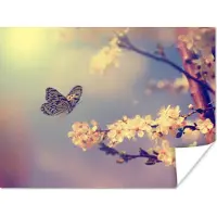 PosterMonkey Poster Vlinders - Bloesem - Tak - Boom - 80x60 cm