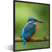PosterMonkey Poster - Fotolijst - IJsvogel - Tak - Mos - Vogel - 30x40 cm - Posterlijst - Poster vogels - Foto in lijst - Kamer decoratie - Poster natuur - Kader