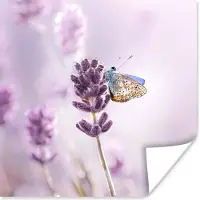 PosterMonkey Poster Lavendel - Vlinder - Close-up - Paars - 50x50 cm
