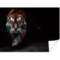 PosterMonkey Poster Dieren - Tijger - Zwart - Wild - Portret - 160x120 cm XXL
